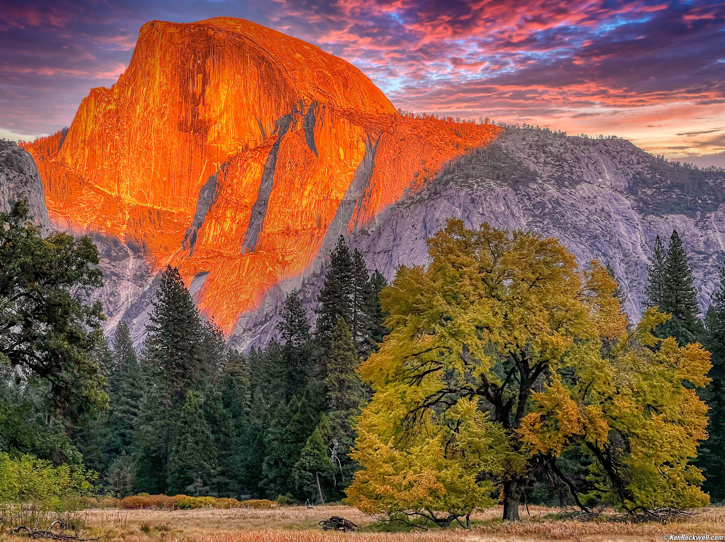 Half Dome in Last Light as seen from Cook's Meadow