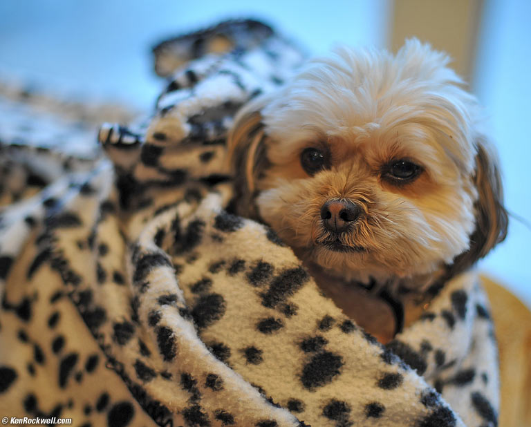 Megan in Blanket
