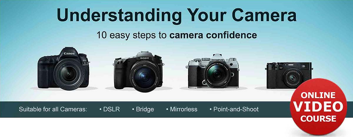 Phil Steele Understanding Your Camera