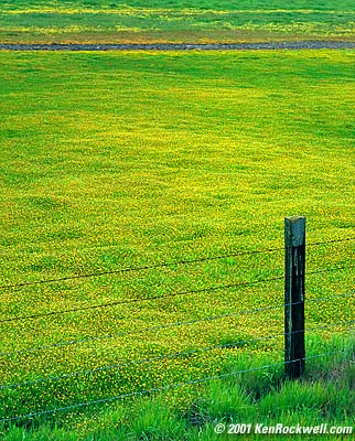 napa