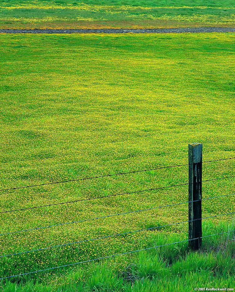 Napa 750 x 932 346kb