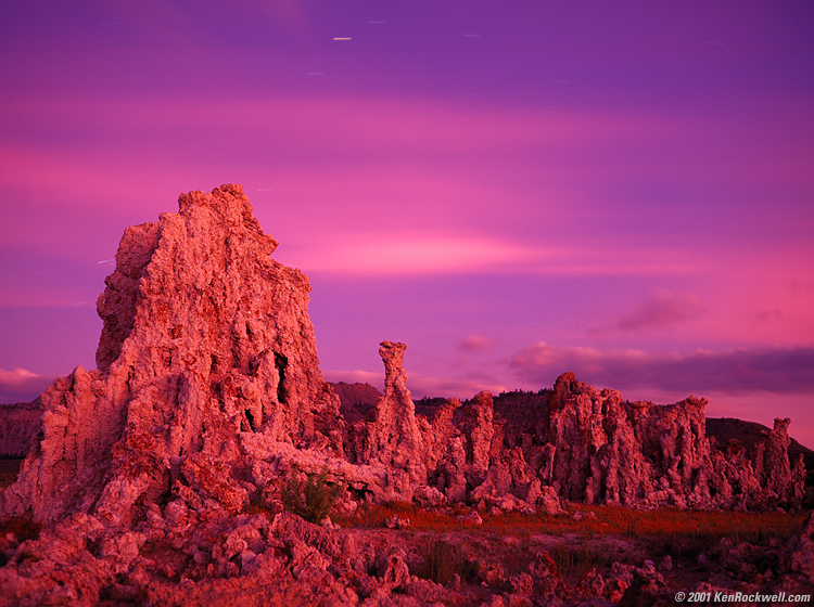 Mono magenta 750 x 560 256kb