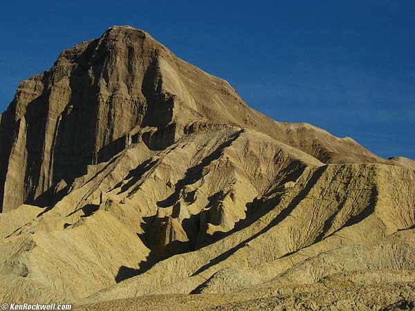 Manly Beacon