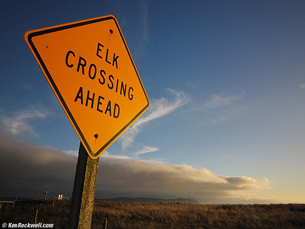 Elk Crossing