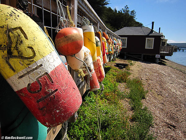 Tomales Bay, CA