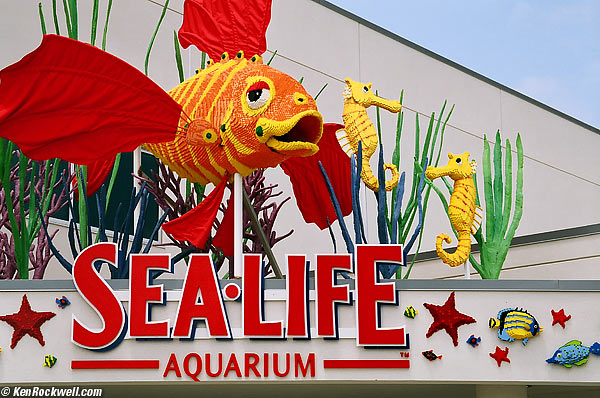Sea lIfe
