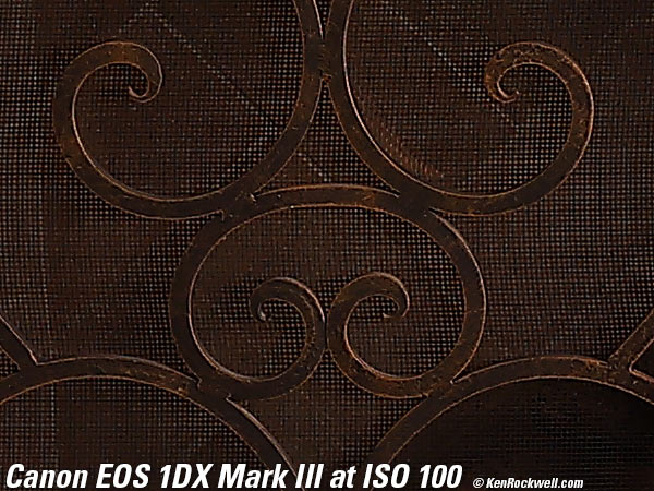 Canon 1DX Mark III High ISO Performance Sample Image File