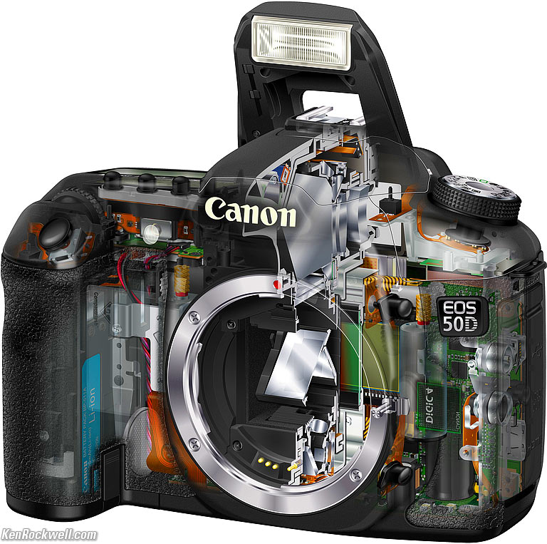 50d-cutaway.jpg