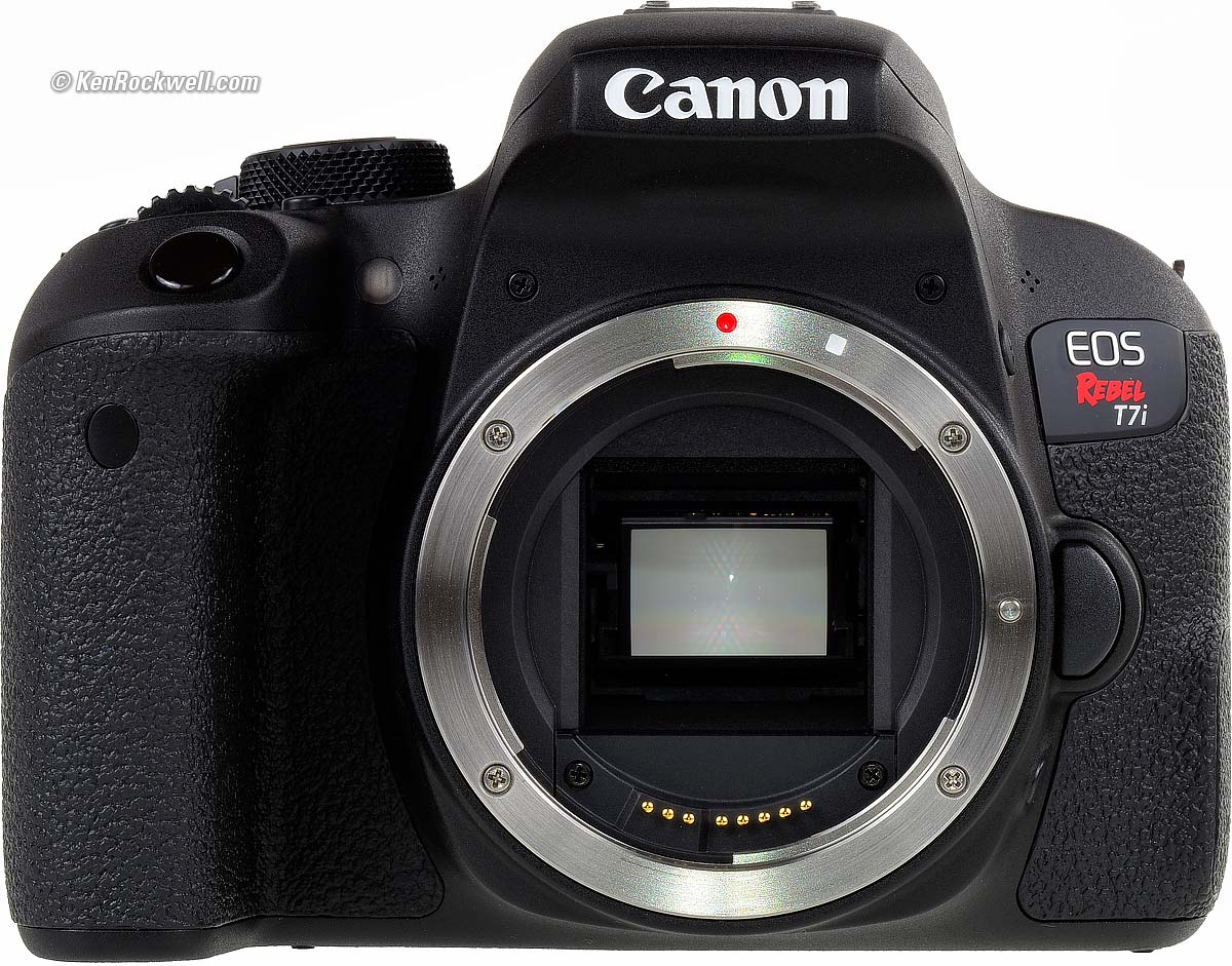 Canon Rebel T7i (EOS 800D) Review