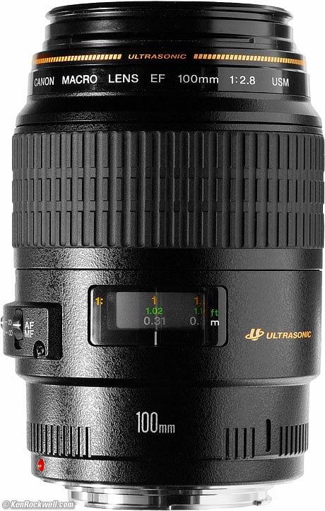 Canon 100mm USM Macro Review