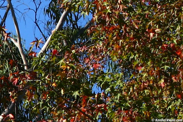 Crop from corner
