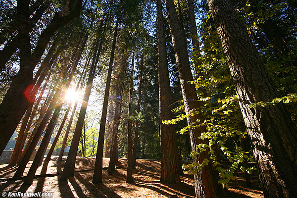 Behind ahwahnee