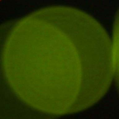 55m bokeh