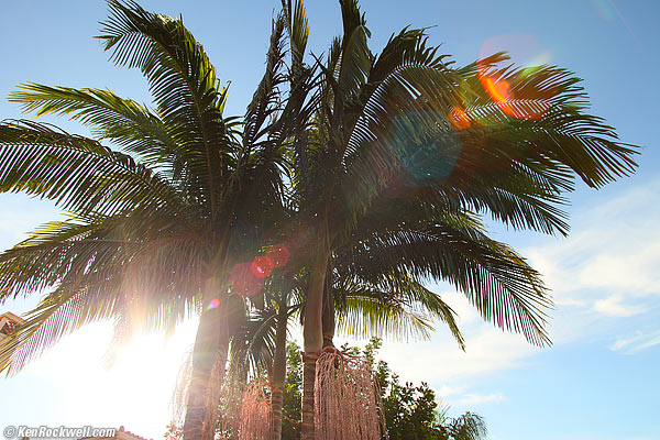 Canon 20-35 L flare