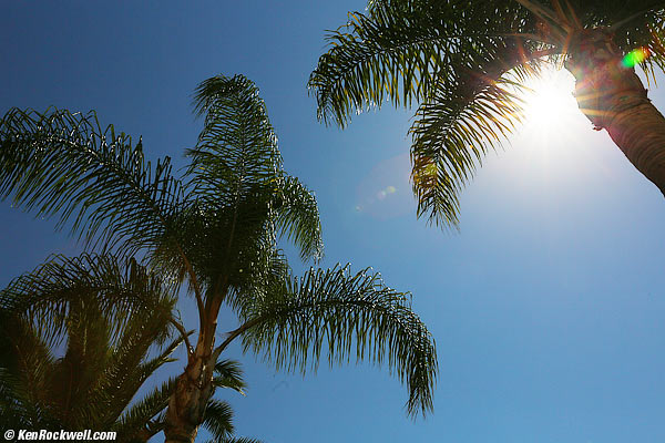 Canon 24-70mm flare