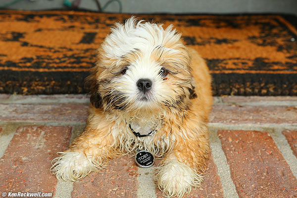 Toby 22 Sep 2012