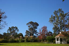 5D image