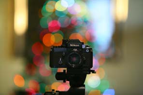 Canon 70-200mm f/2.8L Bokeh