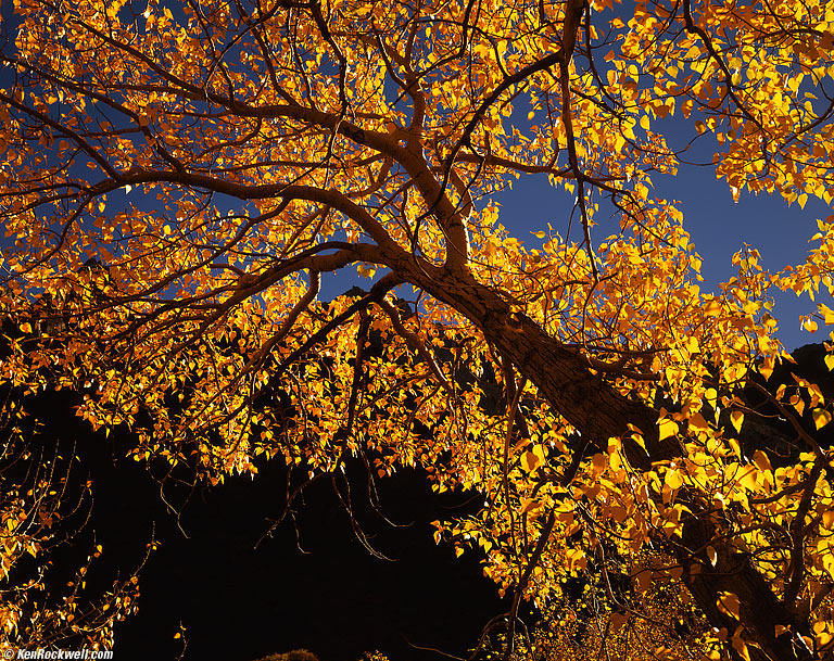 Eastern Sierra