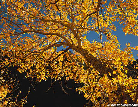 Eastern Sierra