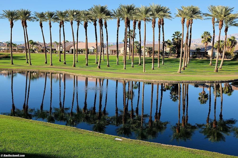 Palms at Sun City Palm Desert