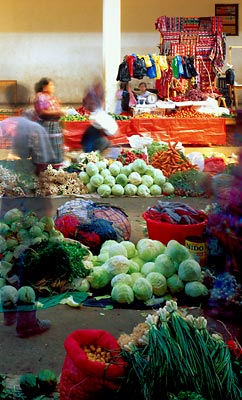 mercado photo