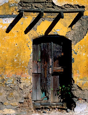 yellow door photo