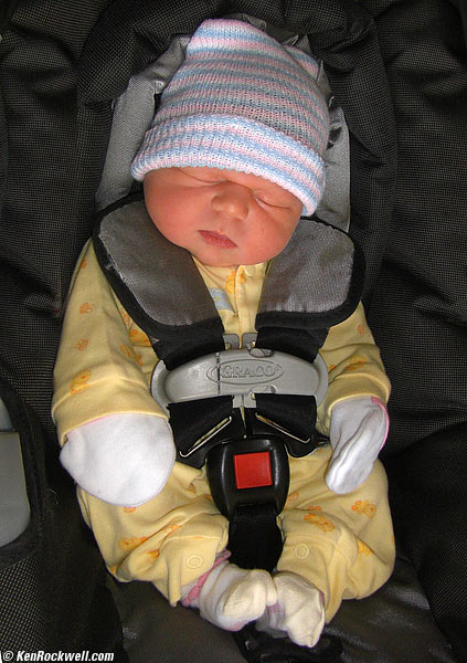 Car Seat