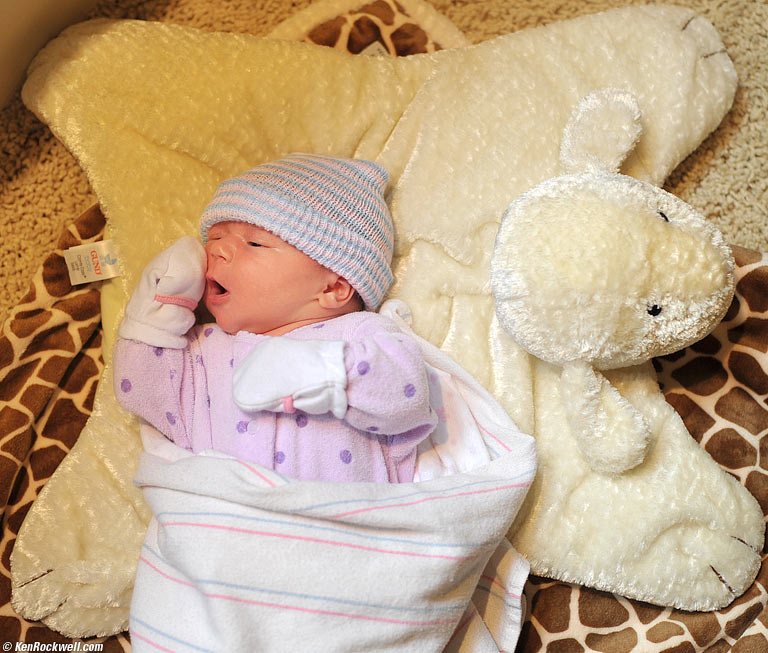Baby Katie