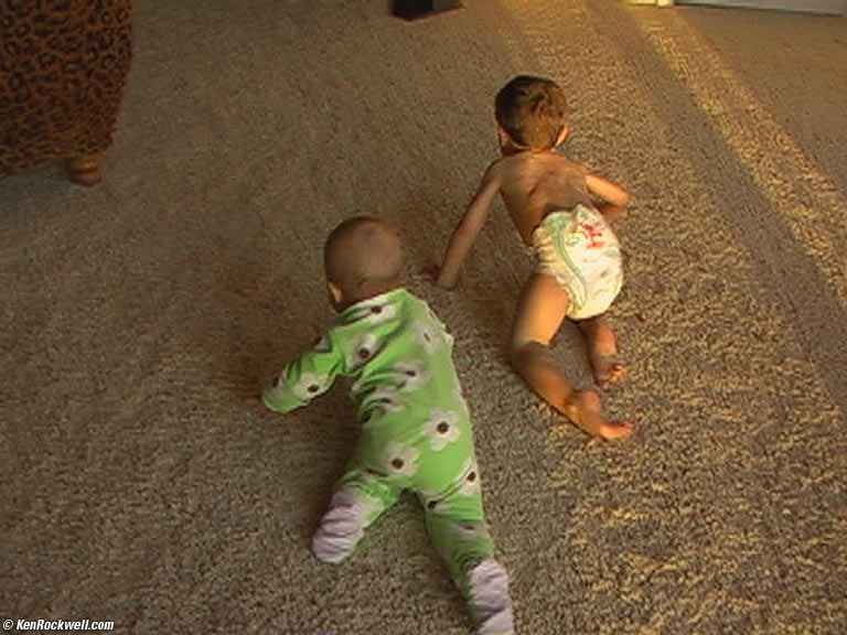 Baby races!
