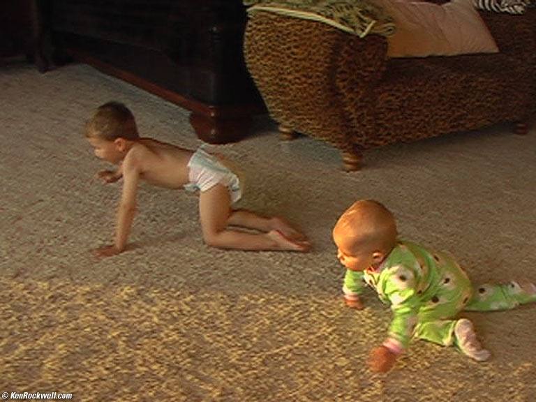 Baby races!