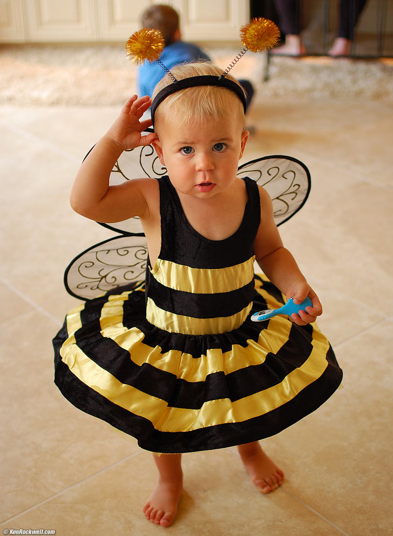 Katie the Bee