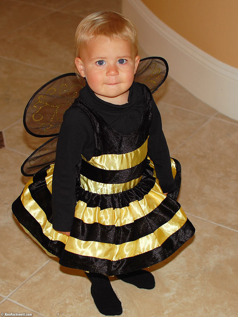 Bumble Bee