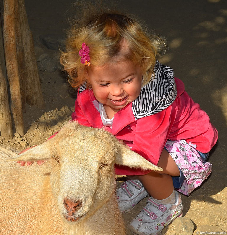 Katie meeting a Goat at The Living Desert. 