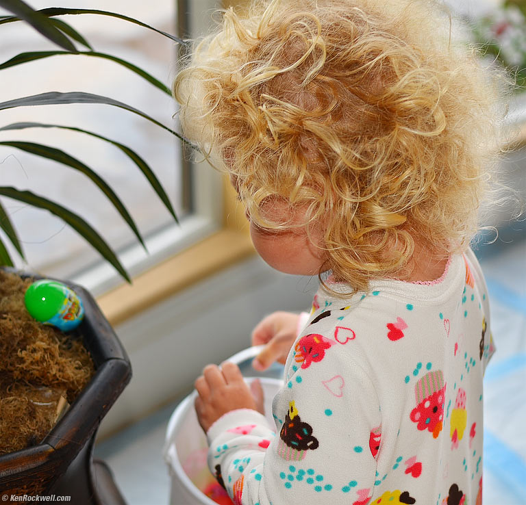 Katie finds an Easter egg in a plant! 