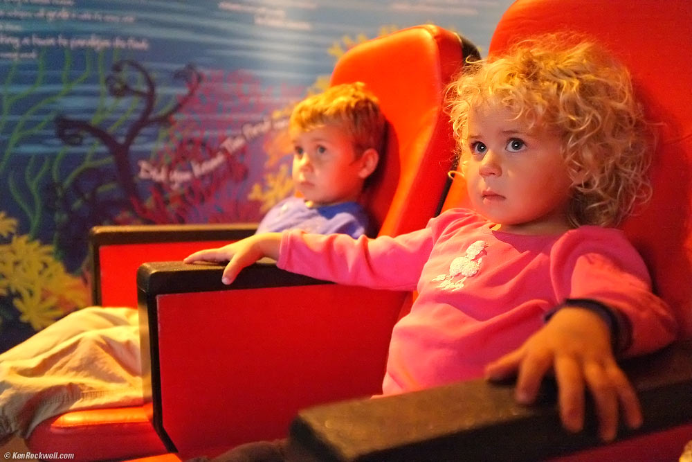 Katie and Ryan enthralled by the Legoland Sealife movie