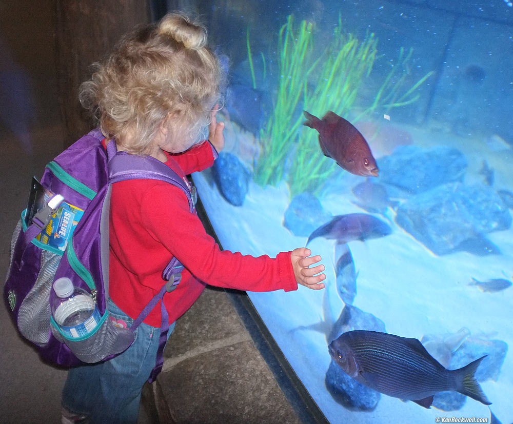 Katie at Sealife Aquarium