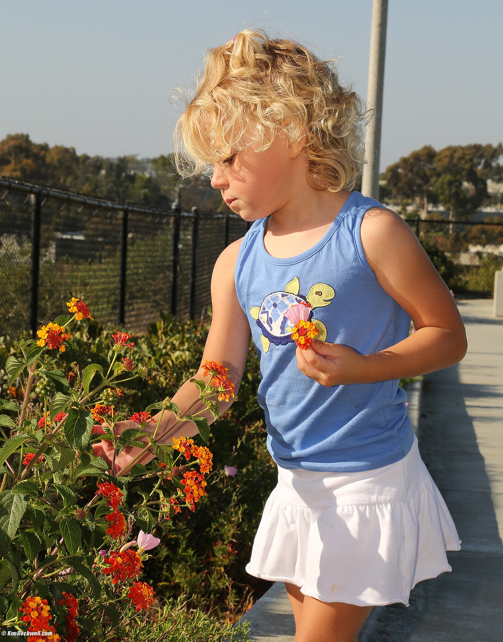 Katie picking flowers