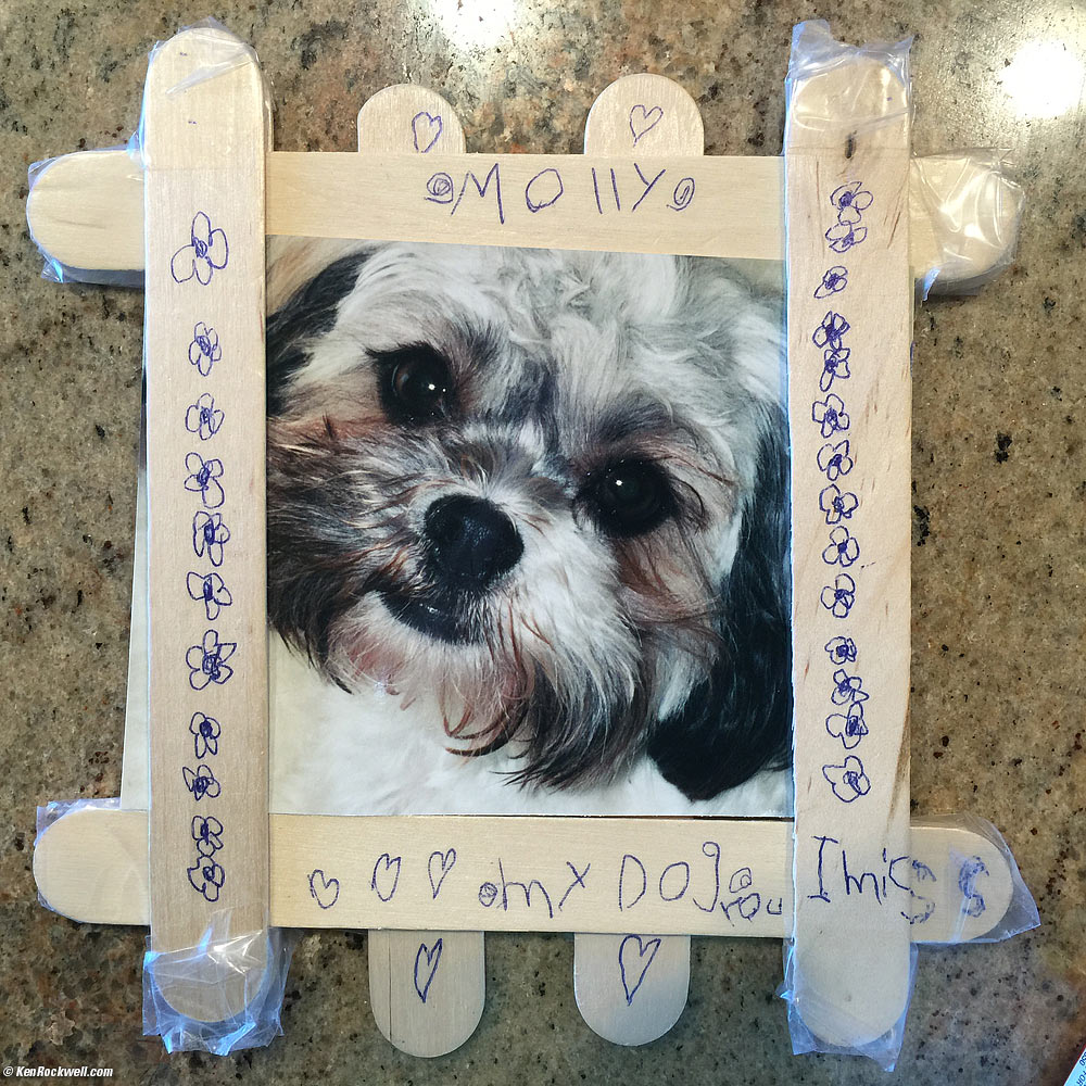 Katie made a frame with Molly in it