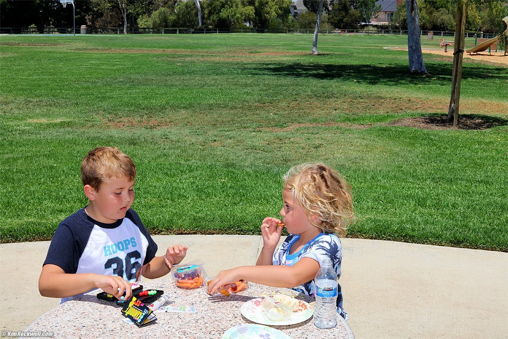 Ryan and Katie picnic at the park