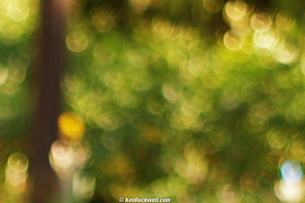 SUMMILUX Bokeh 