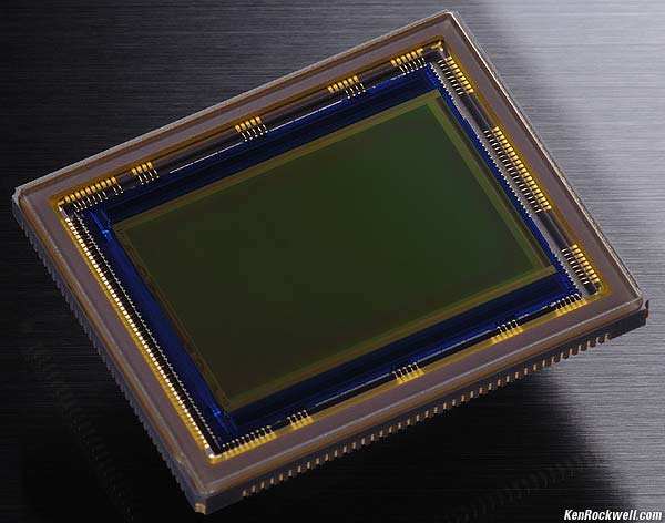 Nikon D300 Sensor