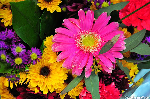 Adorable Flower Girl Dresses Send Flowers To Zaporozhye