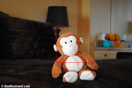 guide image