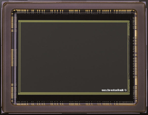Nikon D600 Sensor Assembly