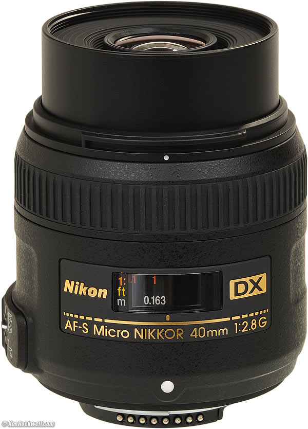 Nikon 40mm f/2.8 DX at 1:1