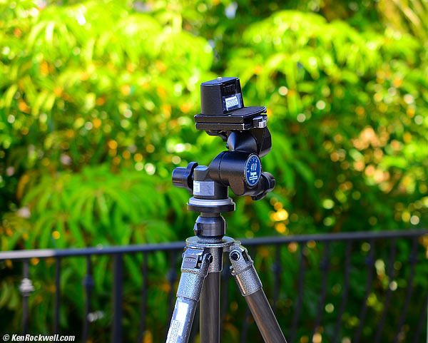 Nikon 40mm f/2.8 DX at 1:1