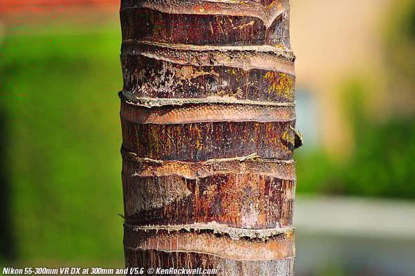 300_6652-bokeh.jpg