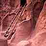 Bandolier