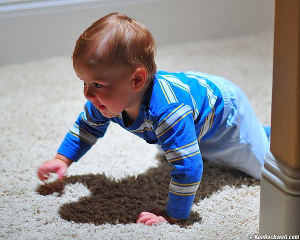 Ryan Crawling